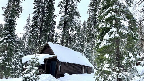 A cabin surrounded by snow-covered trees. - Studio style cabin in Twin Bridges with Mountain View’s near Sierra Ski Resorts (Twin Bridges)