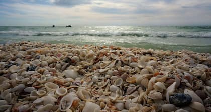 Family Friendly Pool Home, Perfect Proximity to Hotspots ~Spacious w/Bikes, Beach Gear, WiFi & More