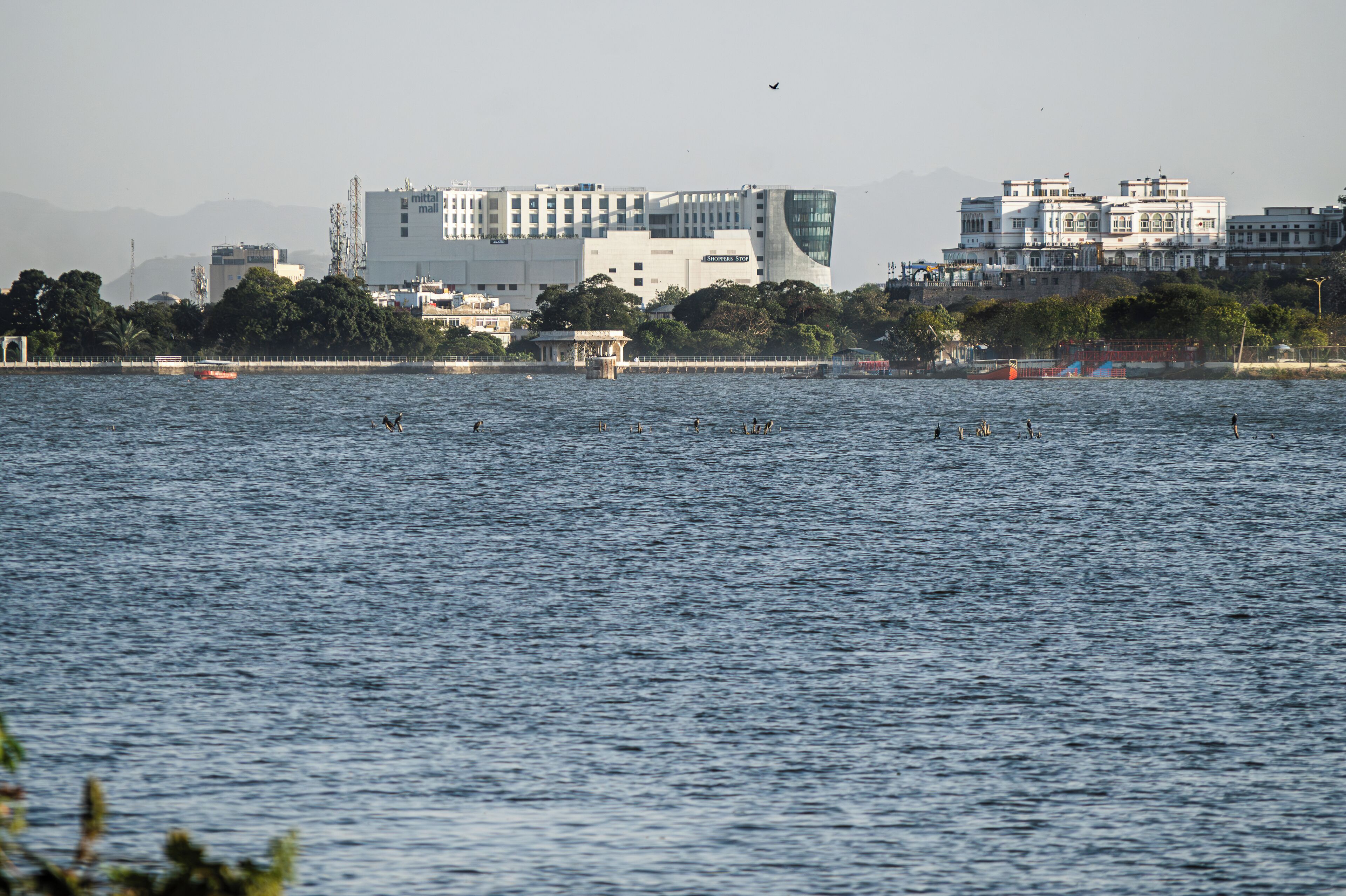 A waterfront view with buildings in the background.