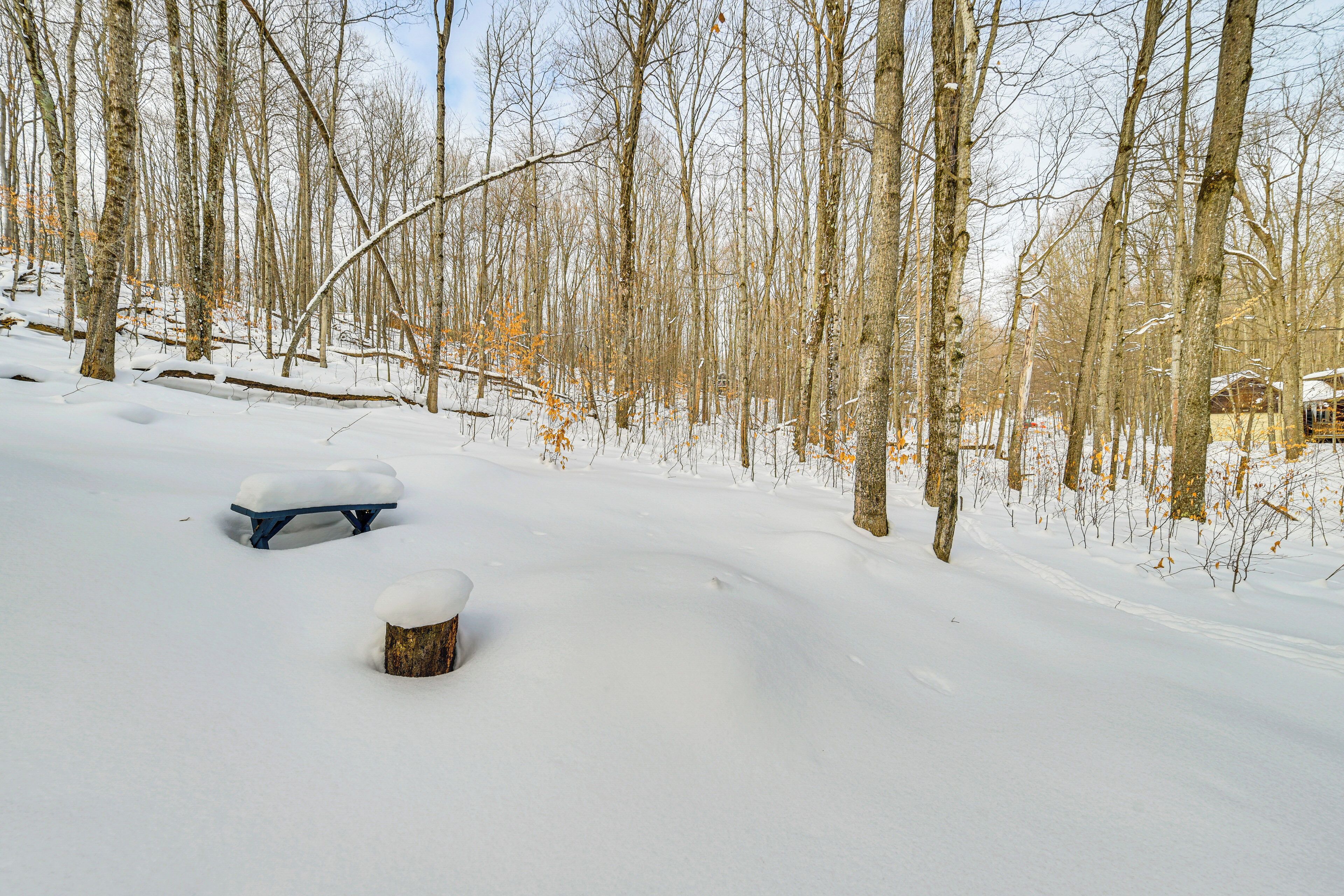 Escena nevada de un bosque con un banco y un tocón de árbol cubiertos de nieve.