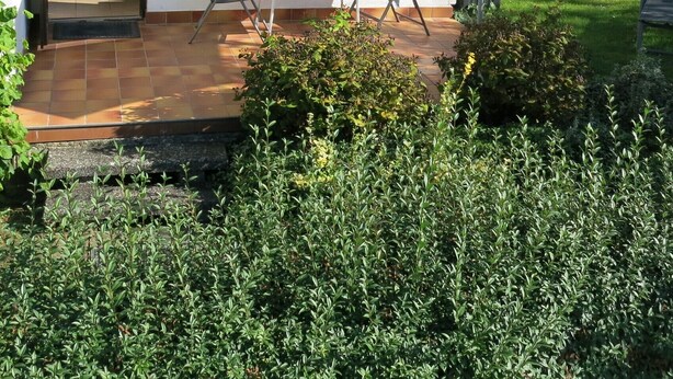 A modern house with a patio, two chairs, a table, and a large umbrella. - Holiday Home 'Seeblick' with Lake View, Private Terrace and Private Garden (Leezen)