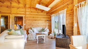 TV, video games, stereo