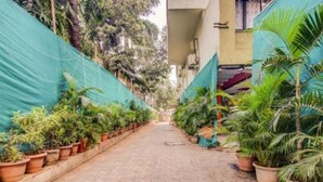 A narrow pathway flanked by potted plants and covered with green tarps, leading to a building entrance. - Hotel Golden Palms (Mumbai)