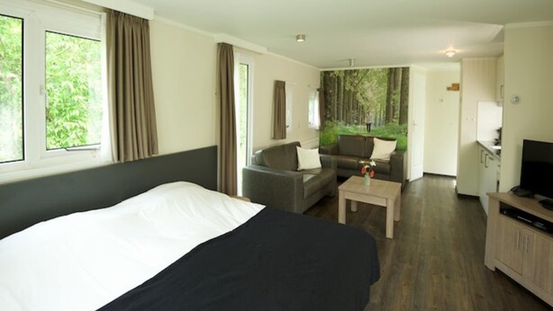 Una habitación de hotel con una cama, un sofá, una mesita de café y un televisor.