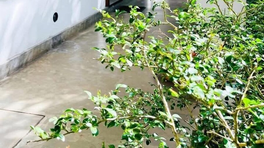 Grand Rockland Hotel