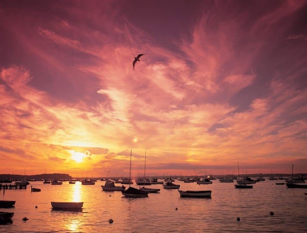 Port de plaisance