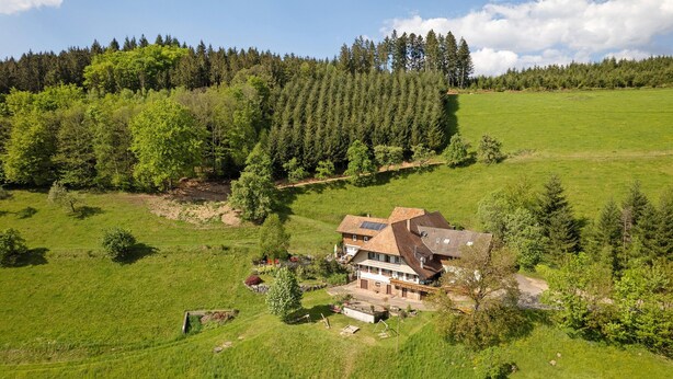 A large house with a sloped roof, surrounded by a lush green field and a dense forest. - Apartment 'Schwarzwaldliebe' with Mountain View, Private Terrace and Wi-Fi (Oberharmersbach)