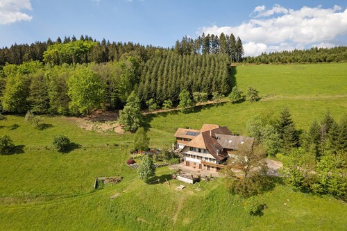 Apartment 'Schwarzwaldliebe' with Mountain View, Private Terrace and Wi-Fi