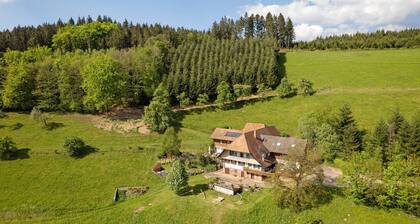 Apartment 'Schwarzwaldliebe' with Mountain View, Private Terrace and Wi-Fi