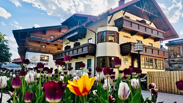 A hotel with a traditional Alpine architectural style, featuring balconies and a sign that reads 'Sonneck.' - Room 14 (double room) with mountain view, balcony and Wi-Fi (Seefeld in Tirol)