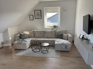 Fernseher