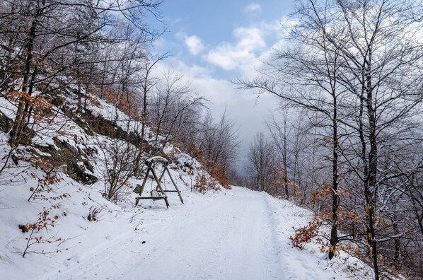 Un sendero cubierto de nieve con un columpio de madera en un área boscosa.