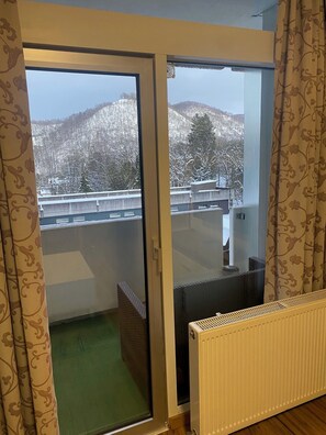 Interior - Apartment 'Harz Mit Elan' with Mountain View, Balcony and Wi-Fi (Bad Harzburg)