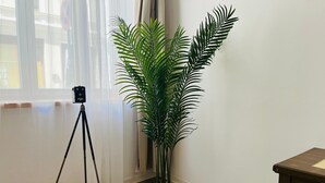 Een hoekkamer met een statief en een potplant.