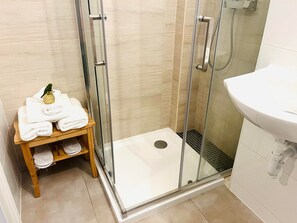 Shower, hair dryer, towels