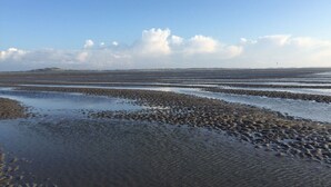 A coastal landscape with a wide expanse of water and a distant hill. - Atmospheric Chalet Near the Wadden Sea (Tzummarum)