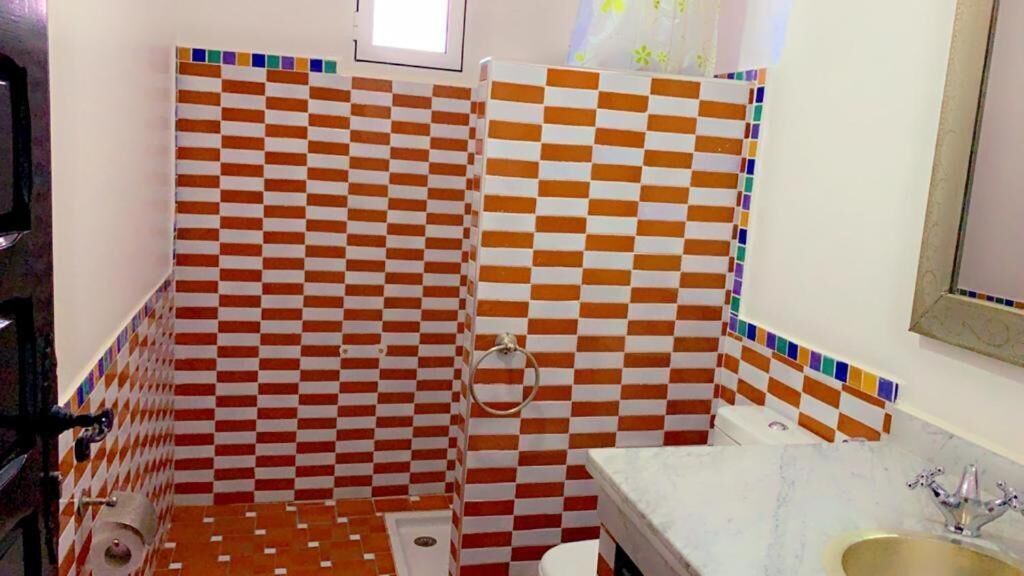 A bathroom with checkered tile walls, a sink, and a toilet.
