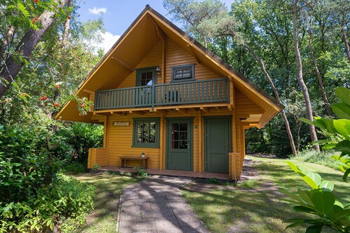 Cozy and complete Swedish group home in the forest