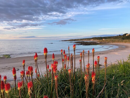 The Corner House -  a house that sleeps 10 guests  in 4 bedrooms