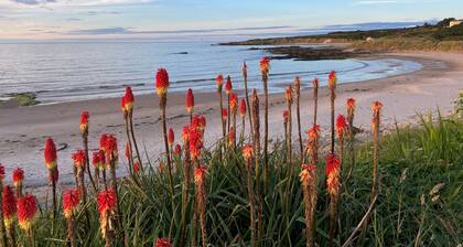 The Corner House - a house that sleeps 10 guests in 4 bedrooms