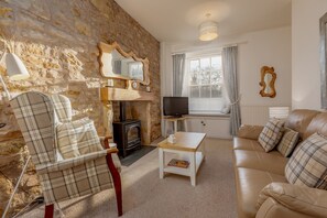 Televisión, chimenea