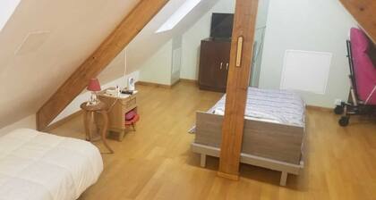 Furnished studio for rent