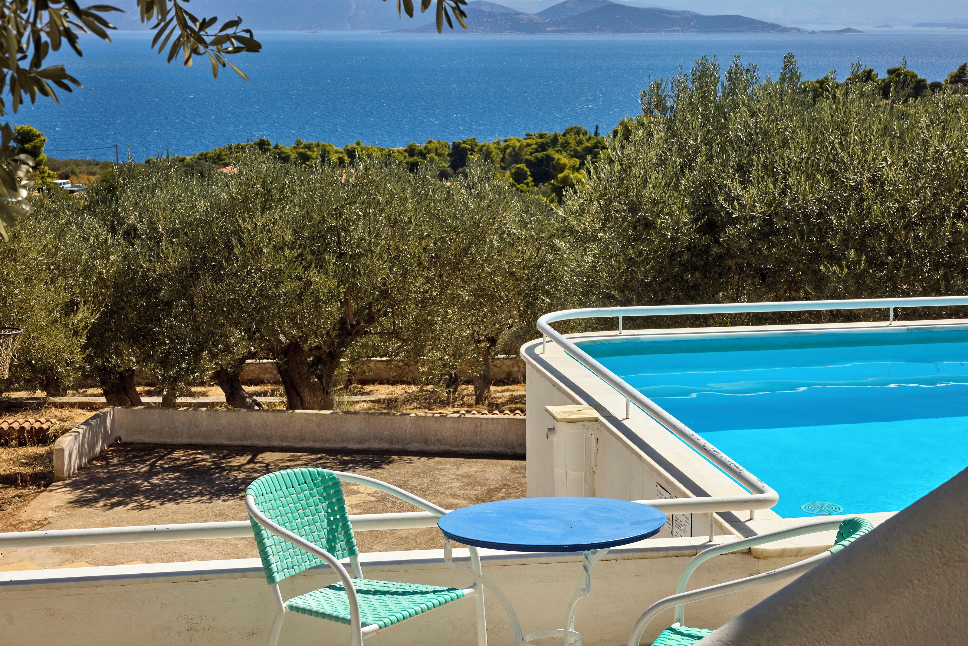 Área de piscina com vista para o mar, rodeada por oliveiras.