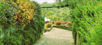 Villa Margherita Garden