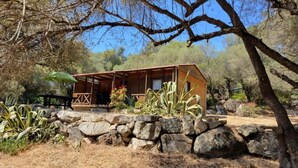 A rustic wooden cabin with a stone foundation, surrounded by cacti and desert vegetation.