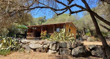 Chalet Cosy - U Nestru