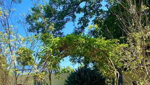 Un chemin de briques menant à une maison dotée d’un jardin, sous un ciel bleu et dégagé.