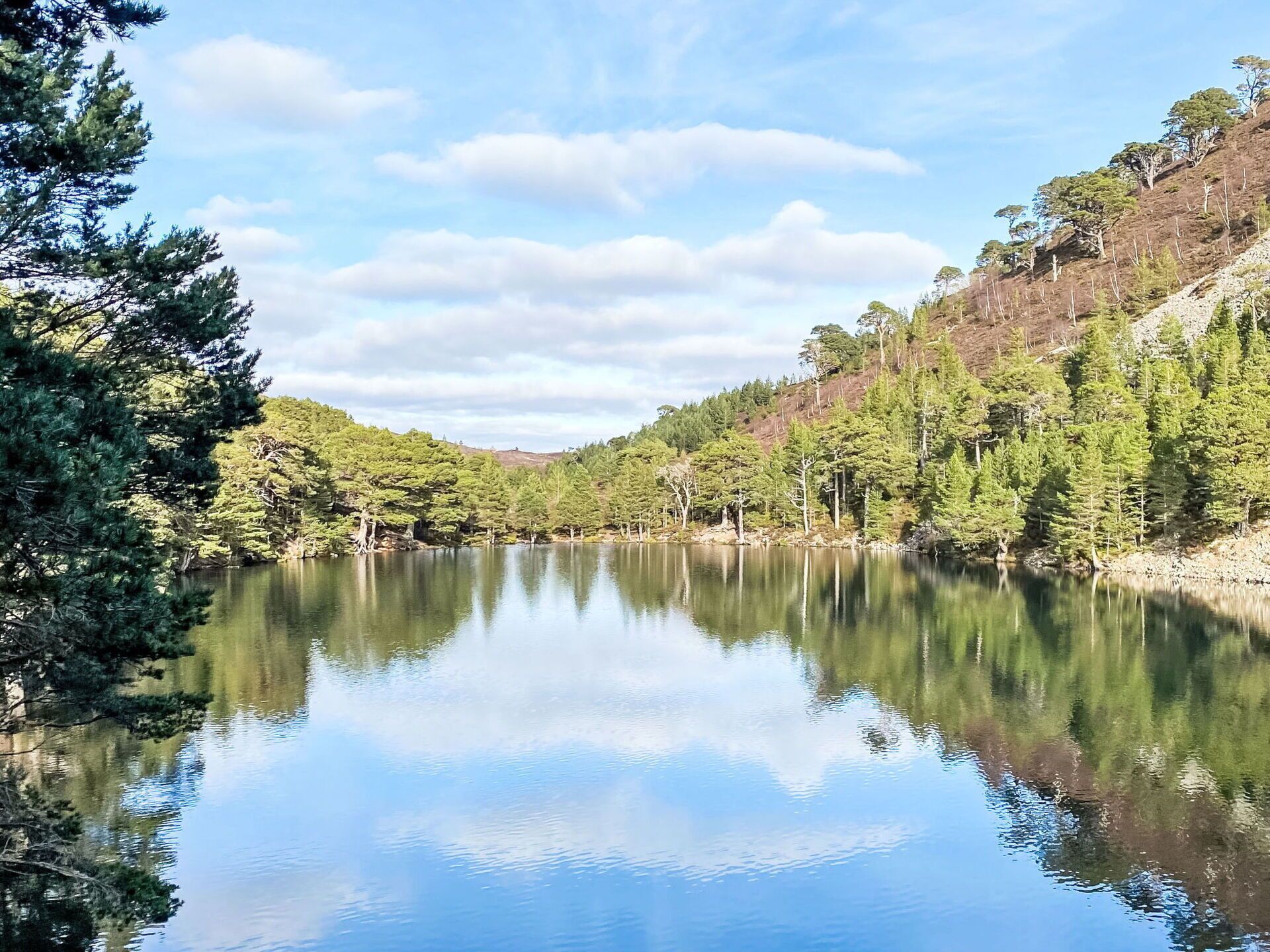 Un lac paisible, entouré d’une forêt dense et de collines.