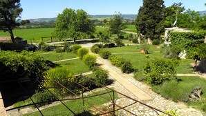 Un jardín con un sendero de piedra, diversas plantas y vistas al campo.