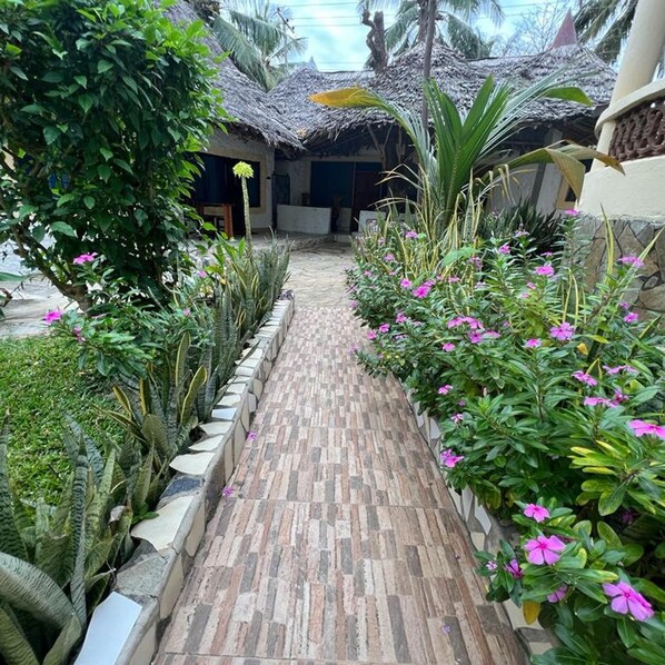 Un sendero conduce a un edificio con techo de paja, rodeado de exuberante follaje y plantas florecientes.