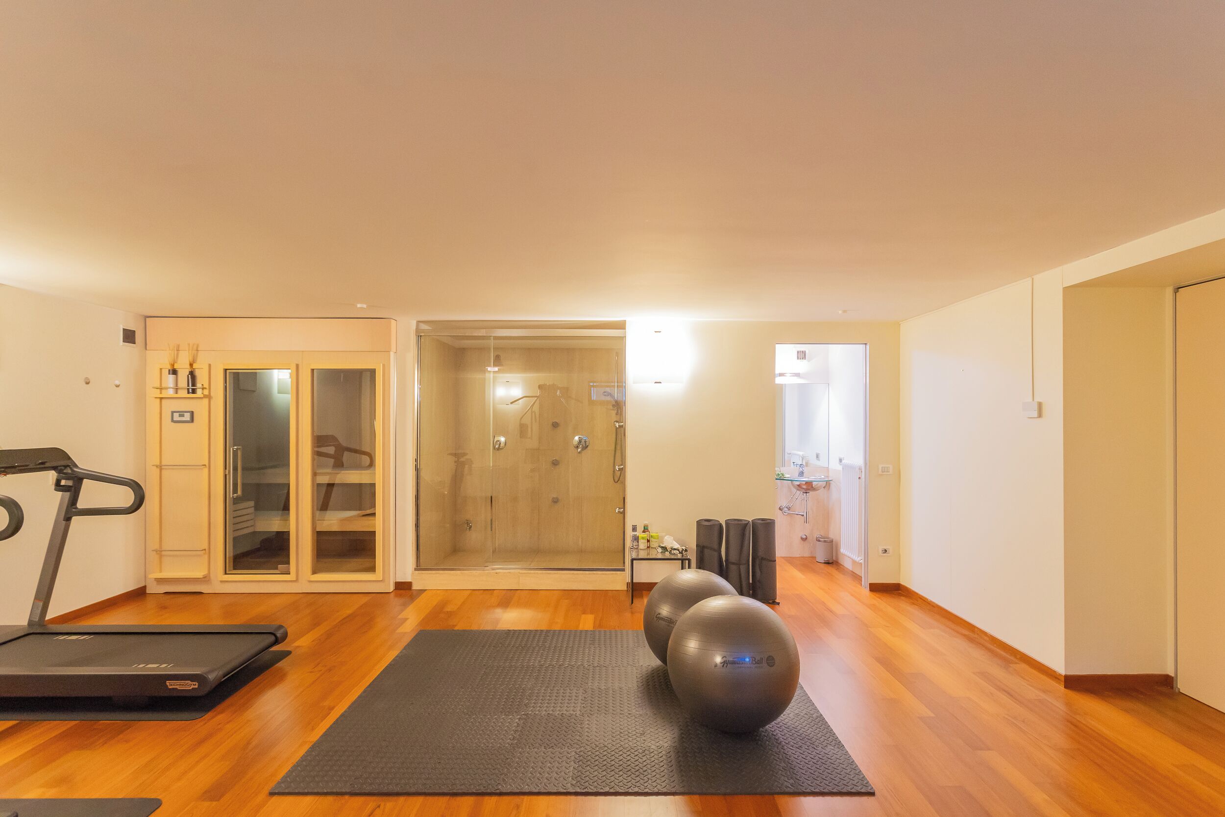 Amplia habitación con piso de madera, una caminadora, dos grandes pelotas de ejercicio y un box de ducha de vidrio.