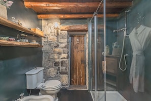 A bathroom with a stone wall, wooden shelves, a toilet, a shower, and a glass-enclosed shower area. - The Writer's Nest by Rent all Como (Faggeto Lario)