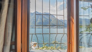 A window with a metal grid, a view of a lake, and mountains in the background.