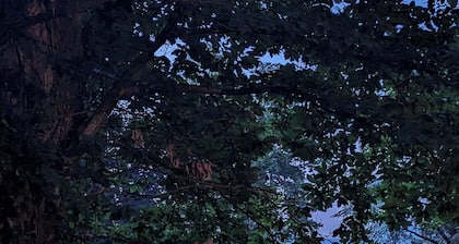 Villa Riva Bellagio With Pool by Rent all Como