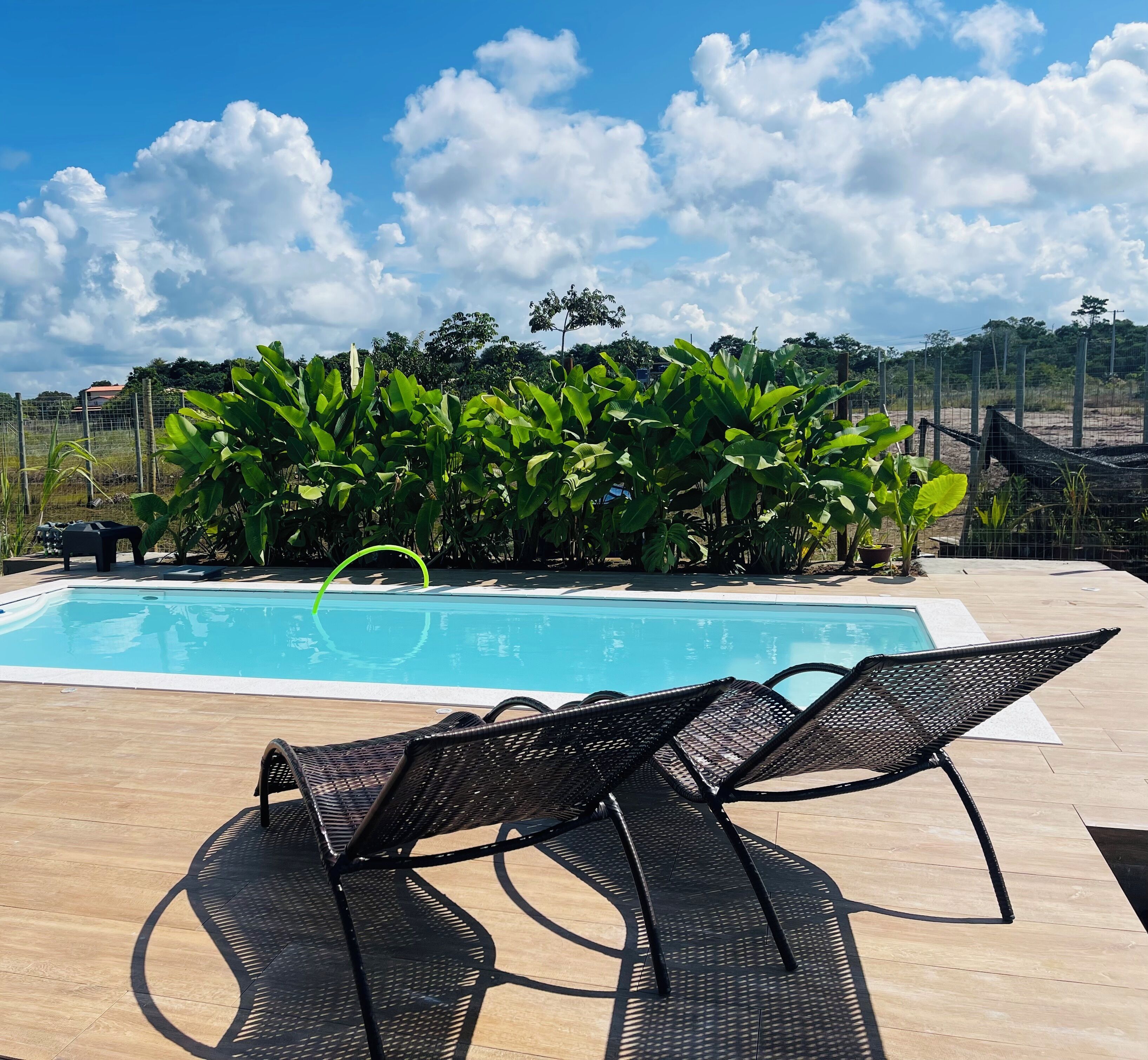 Une piscine entourée de chaises longues et d’une végétation luxuriante en arrière-plan.