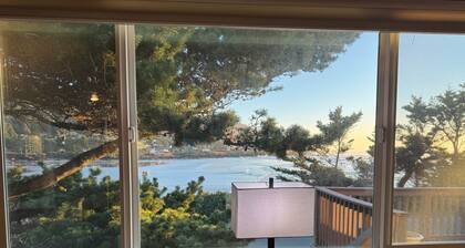 Gem of Yachats! Great view and location, dog friendly and cozy fireplace!