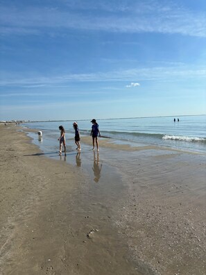 Une plage où l’on voit des gens et un chien se promener le long du rivage.