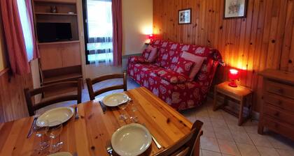 Studio close to slopes, near ski school, Adrets-Prapoutel