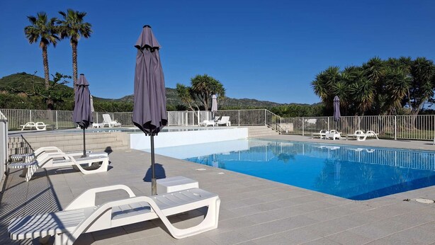 A swimming pool with lounge chairs and umbrellas, surrounded by palm trees and a white fence.
