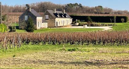 GĂźte viticole tout inclus, jardin 3000mÂČ, vĂ©los offerts, proche Saumur-Chinon-Langeais