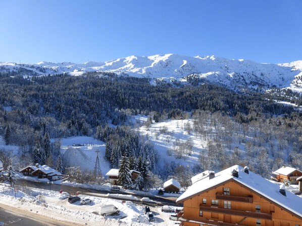A mountain lodge with a wooden exterior, surrounded by snow-covered trees and mountains.