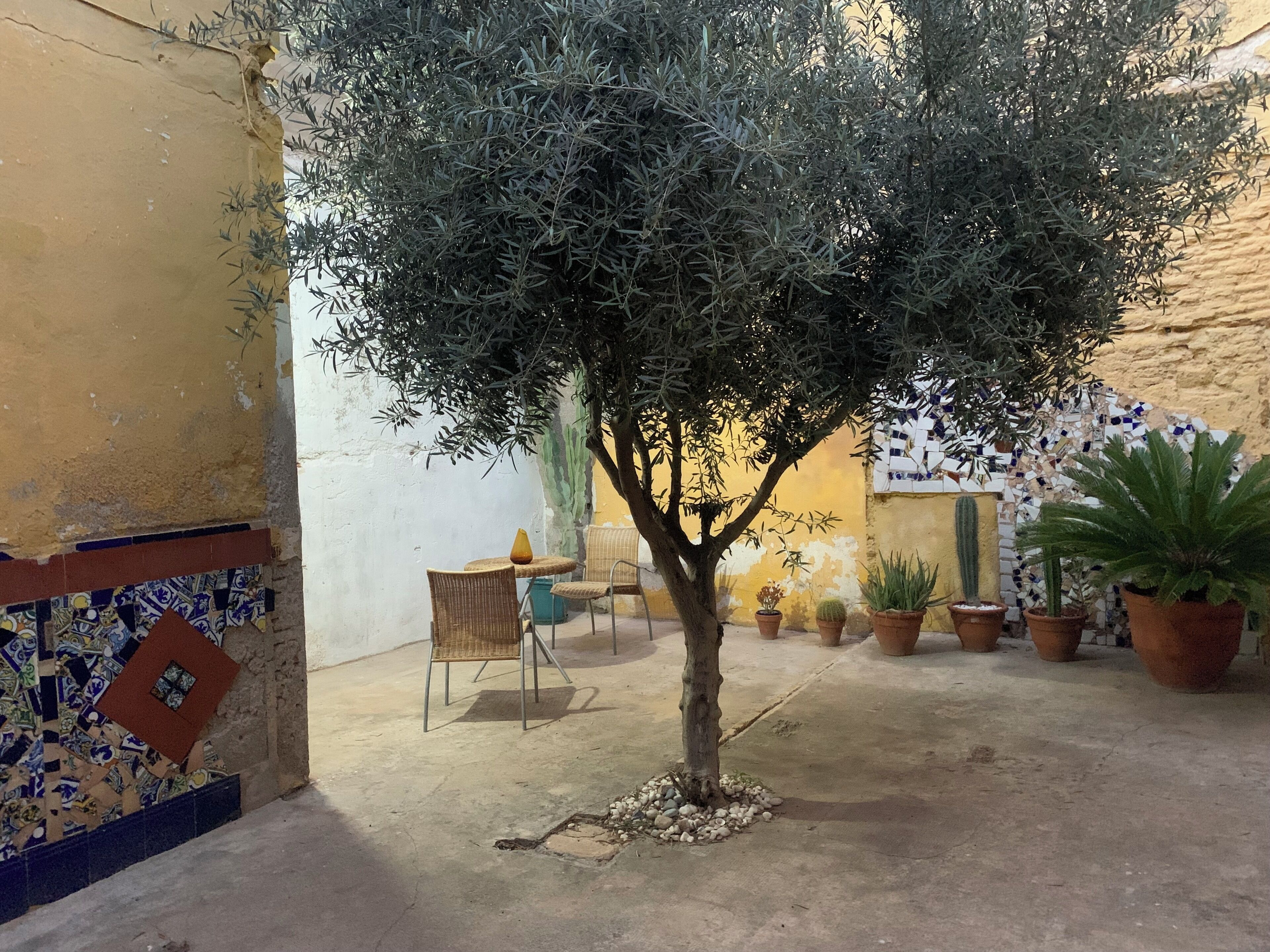 Un patio con un árbol, plantas en macetas, una silla de mimbre y un muro de baldosas.