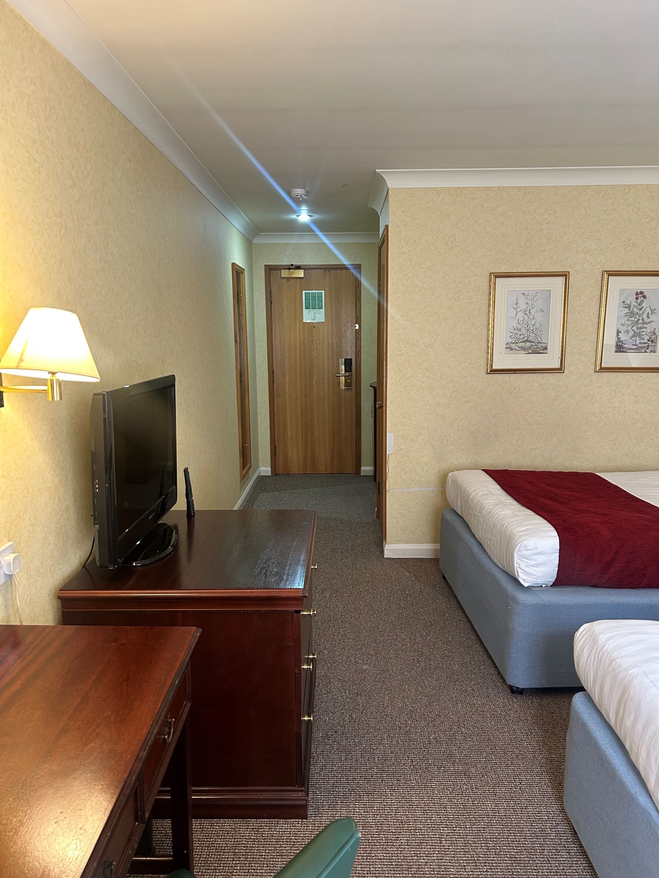 Habitación de hotel con una televisión sobre una mesa de madera, una cama con un edredón rojo y dos láminas botánicas enmarcadas en la pared.