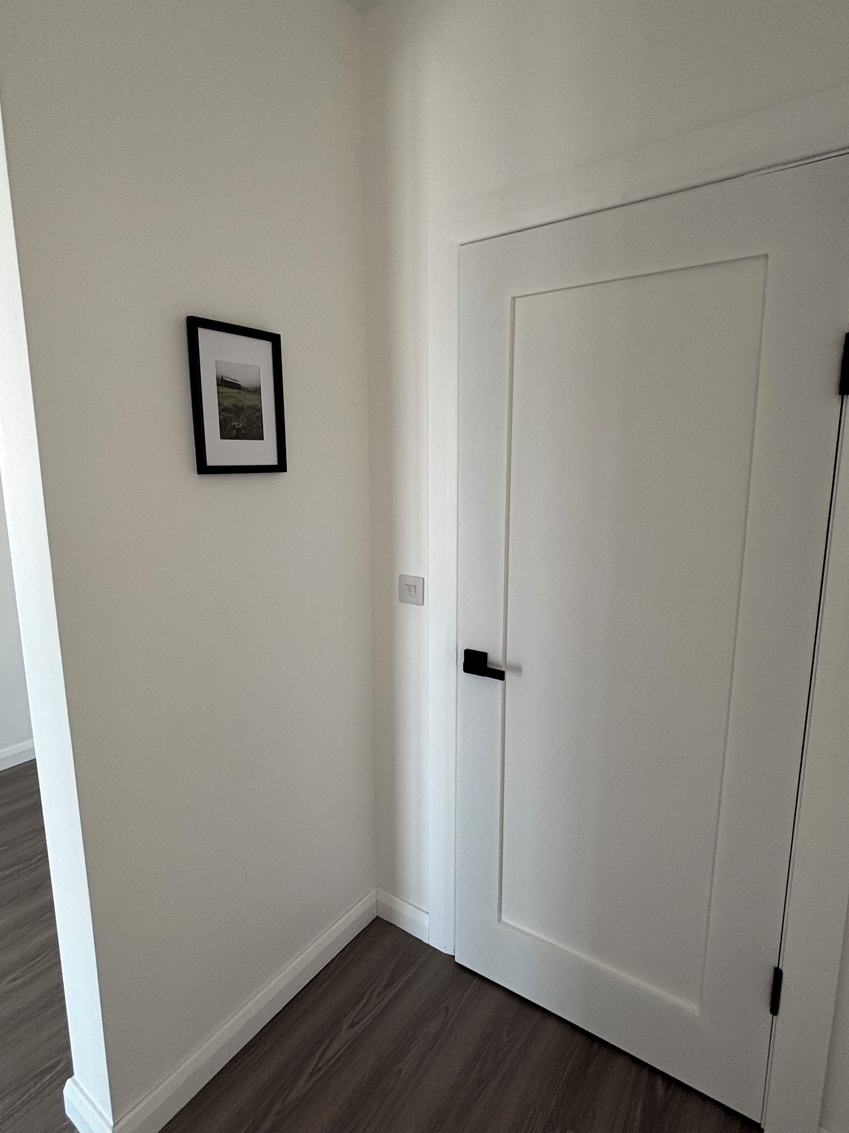 Et hjørne af et rum med en hvid dør og et billede i ramme på væggen.
