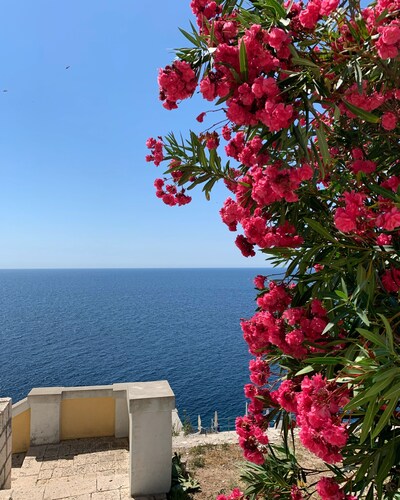 La Piattaforma, your home with a private sea view