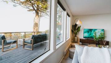 Télévision, cheminée